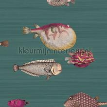 Acquario tapeten Cole and Son weltraum 