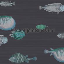 Acquario wallcovering Cole and Son Fornasetti 114-16032