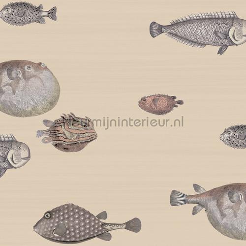 Acquario behang 114-16033 fantasie Cole and Son