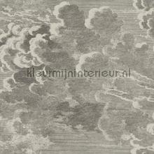 Nuvolette set 2 rollen wallcovering Cole and Son Vintage- Old wallpaper 
