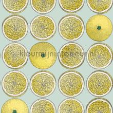 Arance wallcovering Cole and Son Vintage- Old wallpaper 