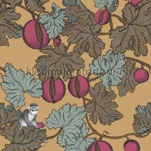 Frutto Proibito papel de parede Cole and Son Vendimia Velhos 