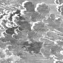 Nuvolette set 2 rollen wallcovering Cole and Son Vintage- Old wallpaper 