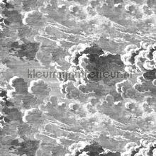 Nuvole wallcovering Cole and Son Vintage- Old wallpaper 