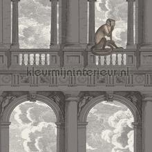 Procuratie con Vista wallcovering Cole and Son Vintage- Old wallpaper 