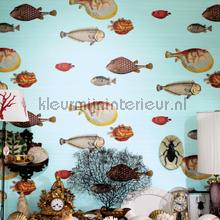 Acquario behang Cole and Son fantasie 