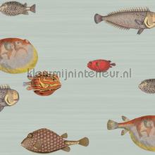 Acquario tapeten Cole and Son weltraum 