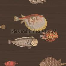 Acquario tapeten Cole and Son weltraum 
