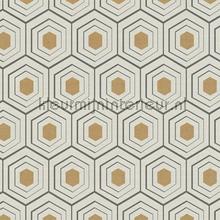 Hexagon met diepte effect papier peint AS Creation Four Seasons 358991
