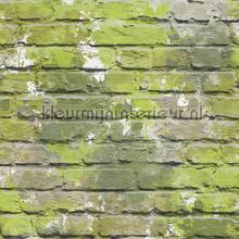 Camouglage bakstenen papel de parede Dutch Wallcoverings quadrado 