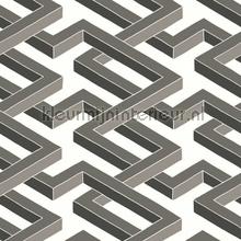 Luxor behaang Cole and Son Geometric II 105-1002