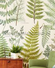 Geonature Herbarium Green fotobehang Eijffinger Geonature 366104