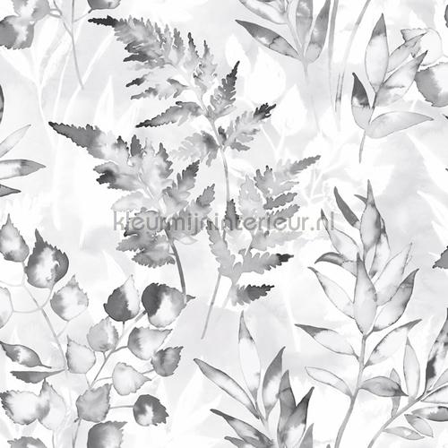 cedar Grey Silver papier peint 90290 Glasshouse Dutch First Class