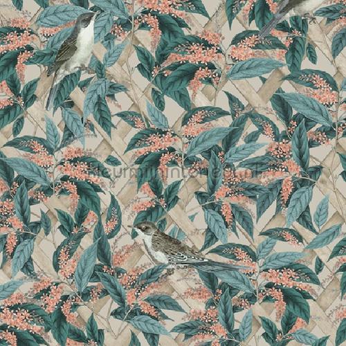 brassica Apricot wallcovering 90333 Glasshouse Dutch First Class