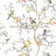 birdwatch wallcovering 97892 Glasshouse Dutch First Class