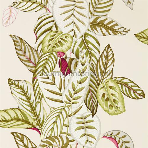 calathea Olive papier peint 216631 Glasshouse Sanderson