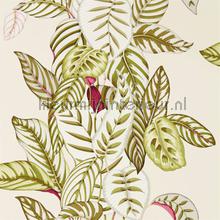 calathea Olive papier peint 216631 Glasshouse Sanderson