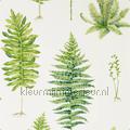 Botanical Green tapet 216633 Cottage Stilarter