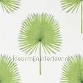 fan palm Botanical Green tapet 216636 Glasshouse Sanderson