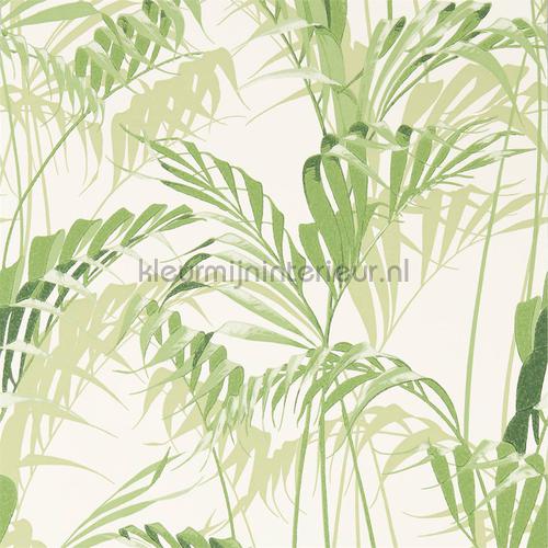 palm house Botanical Green papier peint 216643 Exotique Sanderson