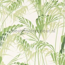 palm house Botanical Green papier peint 216643 Exotique Sanderson