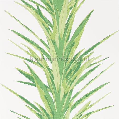 yucca Botanical Green papier peint 216649 Glasshouse Sanderson