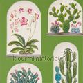 terrariums Botanical Green Multi papier peint 216656 Cottage Styles