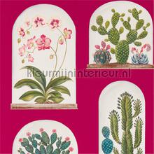 Terrariums Rhodera Multi wallcovering Sanderson Vintage- Old wallpaper 
