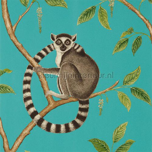 ringtailed lemur Teal papier peint 216663 Cottage Sanderson
