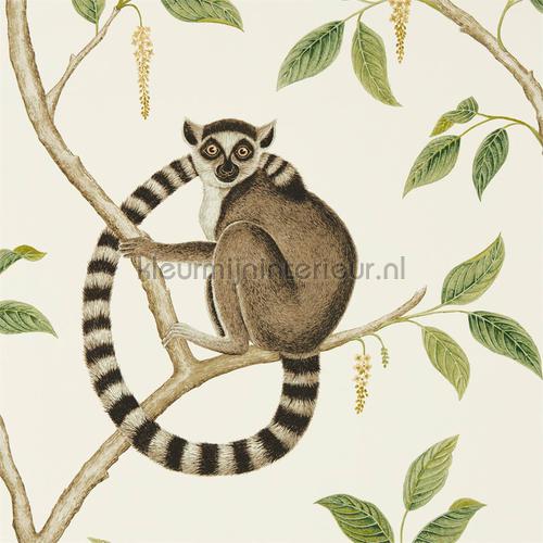 ringtailed lemur Cream Olive papier peint 216664 Exotique Sanderson