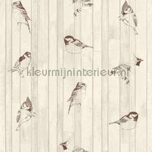 Vogels en hout tapet Esta home Vintage Gamle 