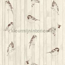 Vogels en hout papier peint Esta home Greenhouse 143-128-834