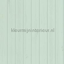 Schrootjes licht vaalgroen tapet Esta home Vintage Gamle 