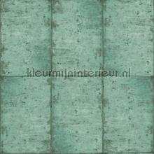 Wandplaten oud groen tapet Esta home Vintage Gamle 