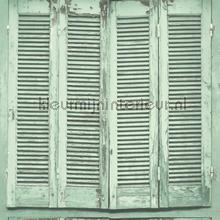 Shutter behang vaalgroen tapet Esta home Vintage Gamle 