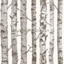 Berkenbomen wallcovering Esta home Wallpaper creations 