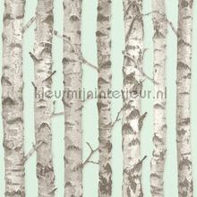 Berkenbomen licht mint tapet Esta home Vintage Gamle 