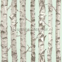 Berkenbomen licht mint wallcovering Esta home Wallpaper creations 