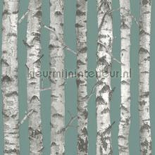 Berkenbomen petrol papel pintado Esta home Greenhouse 143-138-891