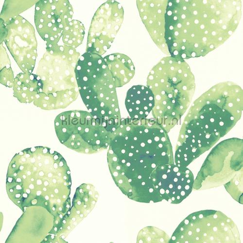 Cactussen groen papier peint 143-138-902 Greenhouse Esta home