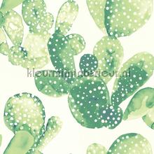 Cactussen groen wallcovering Esta home Wallpaper creations 