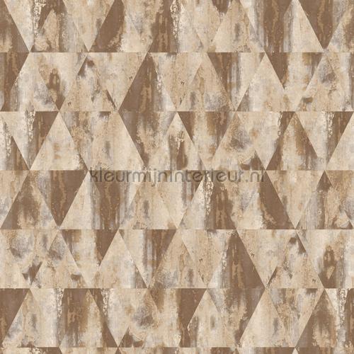  wallcovering g45335 teenager Noordwand