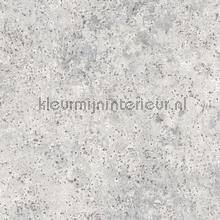 Metal surface tapeten Noordwand weltraum 