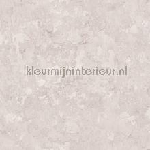 Plaster papel de parede Noordwand quadrado 