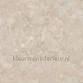 Plaster papier peint g45350 Grunge Noordwand