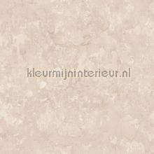 Plaster papel de parede Noordwand quadrado 