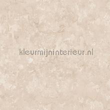 Plaster tapeten Noordwand Trendy 