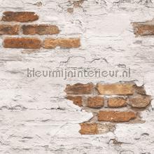 Plastered brick wall papel de parede Noordwand Grunge g45352