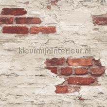 Plastered brick wall papel de parede Noordwand Grunge g45354
