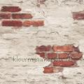 Plastered brick wall behaang g45354 jeungskes Keinder